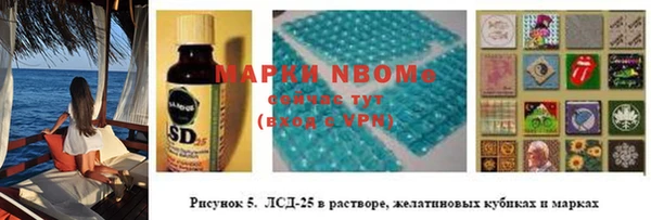 шишки Абинск
