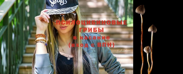 ПСИЛОЦИБИНОВЫЕ ГРИБЫ Алексин