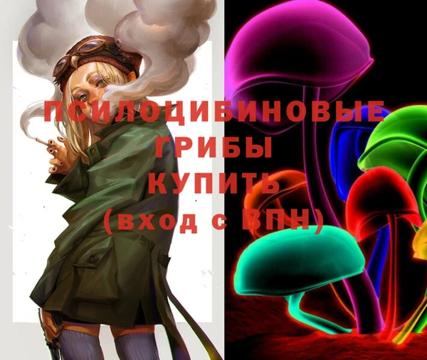 шишки Абинск