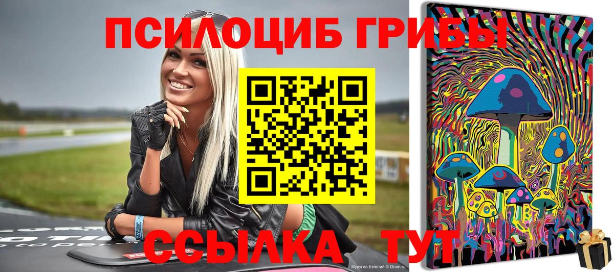 Псилоцибиновые грибы ЛСД  как найти закладки  Галлюциногенные грибы Magic Shrooms  Топки  Вход с VPN 