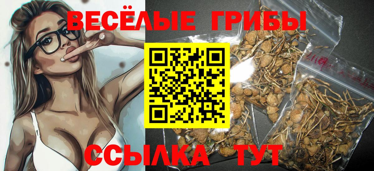 Псилоцибиновые грибы Magic Shrooms Топки